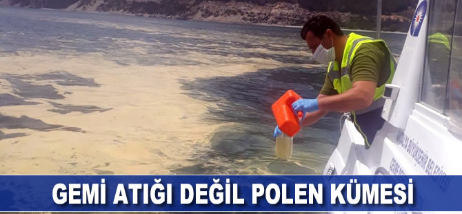 Gemi atığı değil polen kümesi