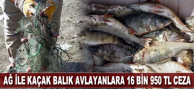 Gölette ağ ile kaçak balık avlayan 3 kişiye 16 bin 950 TL ceza kesildi