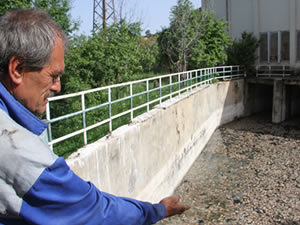 Beyşehir’de tedirgin eden toplu balık ölümleri