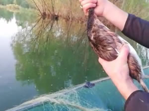 Altınapa barajında avlanma denetimi yapıldı