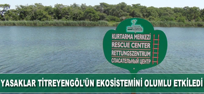 Yasaklar Titreyengölün ekosistemini olumlu etkiledi