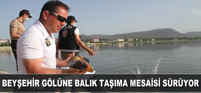 Beyşehir Gölüne balık taşıma mesaisi sürüyor