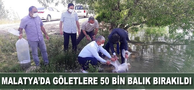 Malatya’da göletlere 50 bin balık bırakıldı