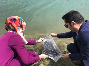 Malatya’da göletlere 50 bin balık bırakıldı