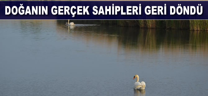 Doğanın gerçek sahipleri geri döndü