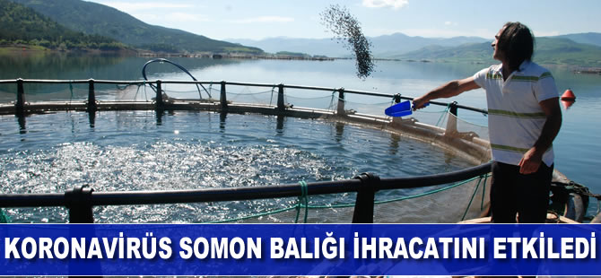 Koronavirüs somon balığı ihracatını etkiledi