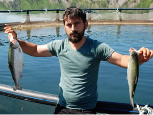 Koronavirüs somon balığı ihracatını etkiledi