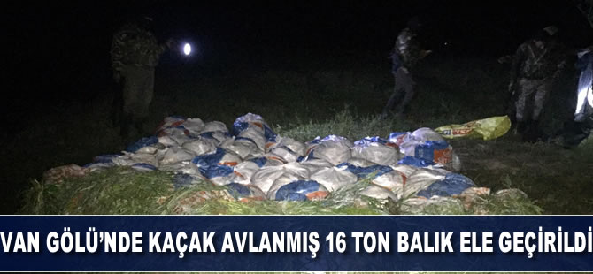 Van Gölü’nde kaçak avlanmış 16 ton ölü balık ele geçirildi