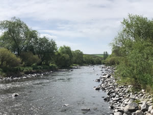 Kars Barajı’ndan balıklara ‘can suyu’ verildi
