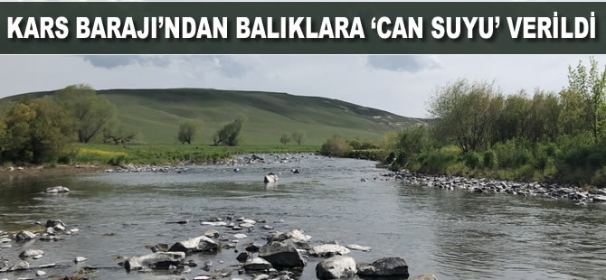 Kars Barajı’ndan balıklara ‘can suyu’ verildi