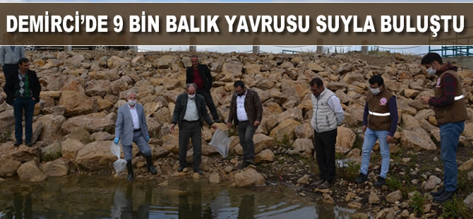 Demirci'de 9 bin balık yavrusu suyla buluştu