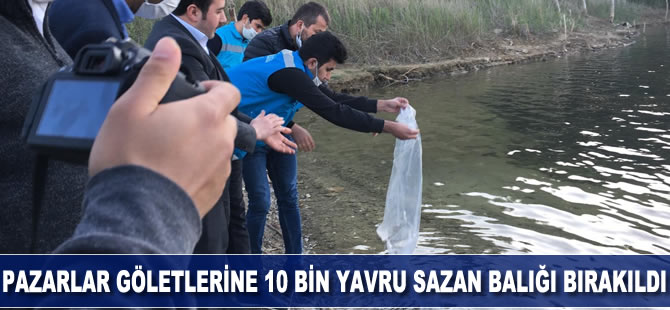 Pazarlar göletlerine 10 bin adet sazan balığı yavrusu bırakıldı