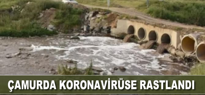 Çamurda koronavirüse rastlandı