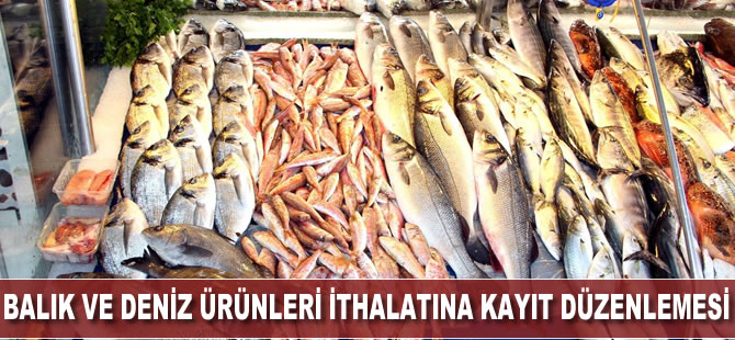 Balık ve deniz ürünleri ithalatına kayıt düzenlemesi