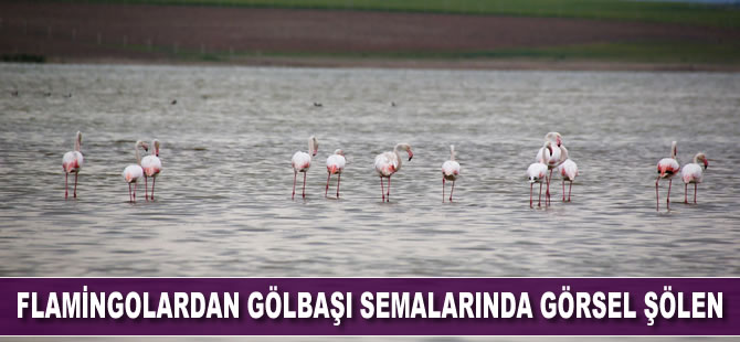 Flamingolardan Gölbaşı semalarında görsel şölen