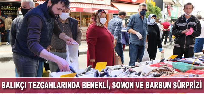 Balıkçı tezgahlarında benekli somon ve barbun sürprizi