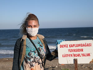 Deniz kaplumbağaları Mersin sahillerine yumurta bırakmaya başladı