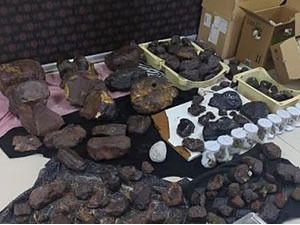 145 kilo balina kusmuğu ele geçirildi