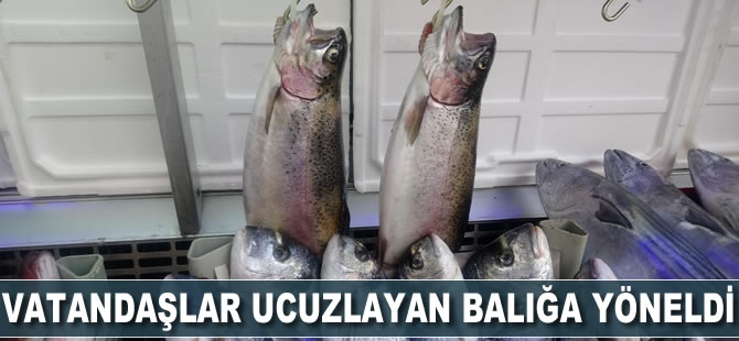 Vatandaşlar ucuzlayan balığa yöneldi