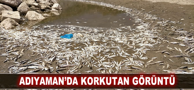 Adıyaman’da korkutan görüntü