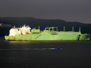 Cezayir'den yola çıkan LNG gemisi 5 Haziran'da Türkiye'ye ulaşacak