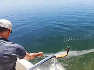 Kaçak balık avlayan 63 kişiye 73 bin lira para cezası verildi