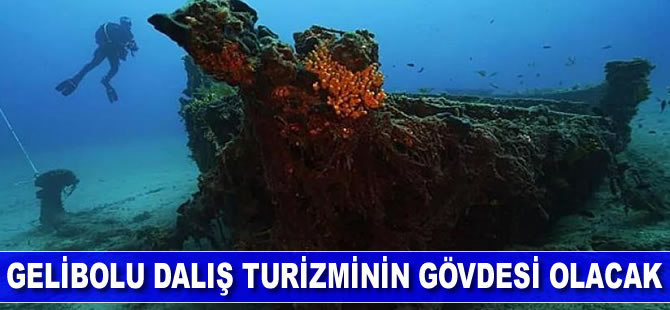 Gelibolu dalış turizminin gözdesi olacak