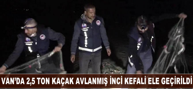 Van’da 2,5 ton kaçak avlanmış inci kefali ele geçirildi