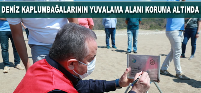 Deniz kaplumbağalarının yuvalama alanı koruma altına alındı