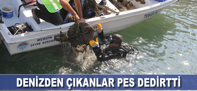 Denizden çıkanlar ‘bu kadarına da pes’ dedirtti