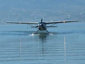 İzmit Körfezi’nin kanatlı koruyucusu tüm Marmara Denizi’ni koruyacak