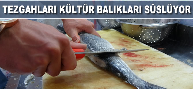 Tezgahları kültür balıkları süslüyor