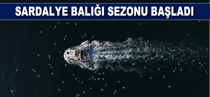 Film karesi gibi görüntülerle sardalye sezonu başladı