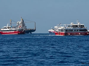 Malta'da göçmenler gemiyi kaçırdı, mürettebatı tehdit etti