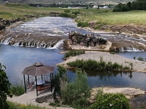 İnci kefalinin dönüşü tehlikede