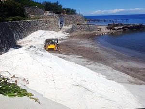 Bodrumlular beyaz kuma savaş açtı