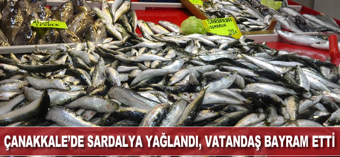 Çanakkale’de sardalya yağlandı, vatandaş bayram etti