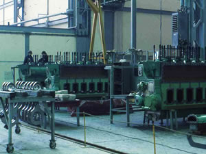 Erkan Dereli : “Milli gemi motoru üretmeliyiz”