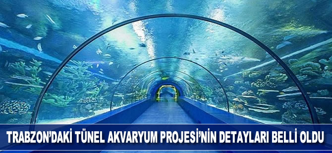 Trabzon'daki Tünel Akvaryum Projesi'nin detayları belli oldu