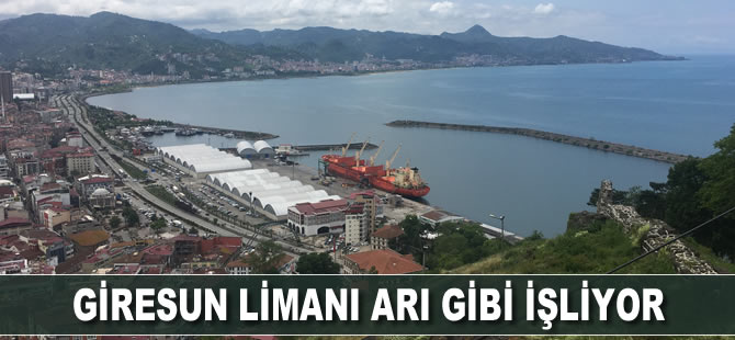 Giresun Limanı arı gibi işliyor