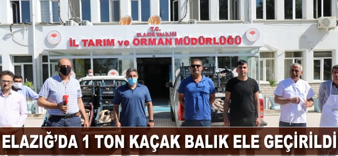 Elazığ'da 1 ton kaçak balık ele geçirildi