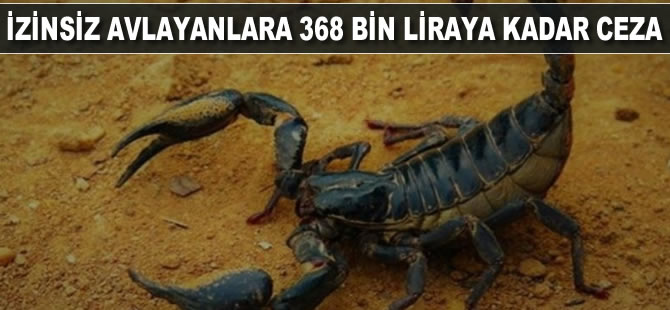 İzinsiz yakalayanlara 368 bin liraya kadar ceza