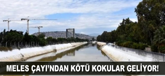 Meles Çayı'ndan kötü kokular geliyor