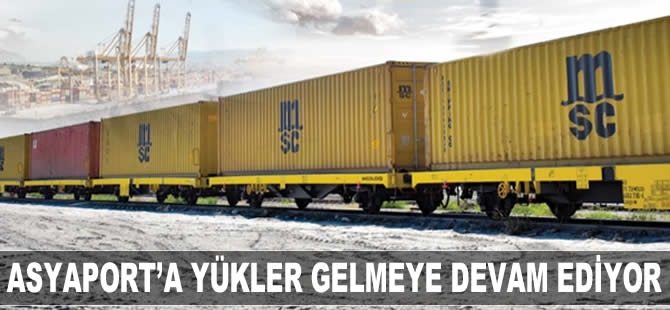 Anadolu'nun ana limanı Asyaport'a yükler gelmeye devam ediyor