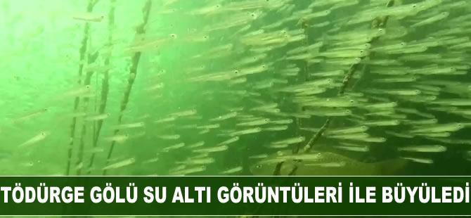 Tödürge gölü su altı görüntüleri ile büyüledi