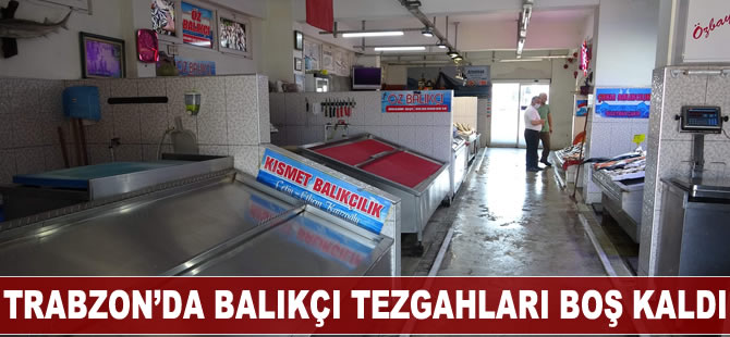 Trabzon’da balıkçı tezgahları boş kaldı