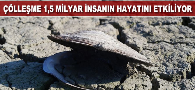 Çölleşme, dünyada 1,5 milyar insanın hayatını doğrudan etkiliyor