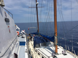 Lüks tekneden yerli turist değil mülteci çıktı