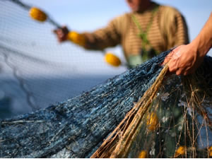 Malatya'da kaçak balık avlayan 15 kişiye para cezası kesildi