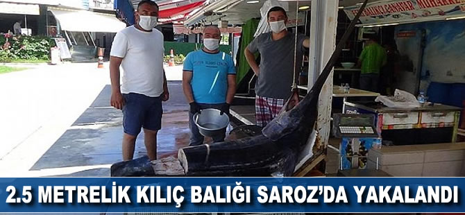 2.5 metrelik dev kılıç balığı Saroz'da yakalandı